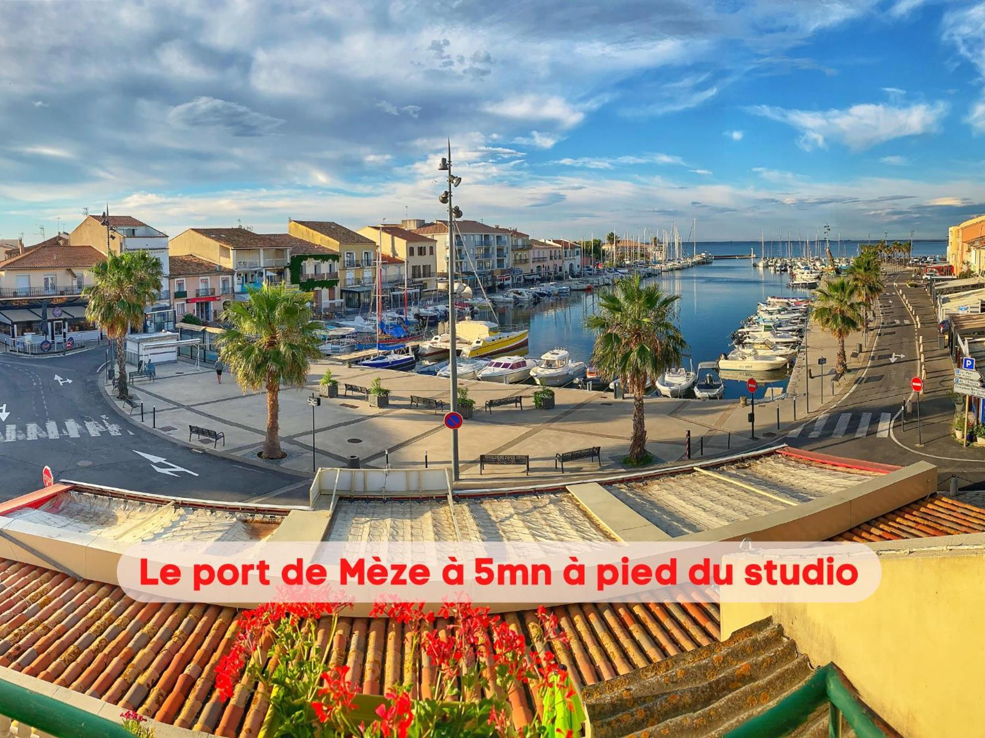 Charmant Studio Climatise A 200M De La Plage メーズ エクステリア 写真
